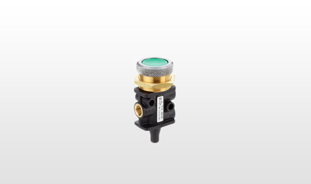 Manual push button valves