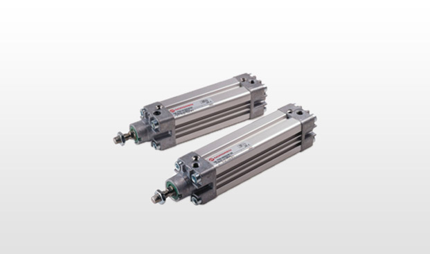 Profile iso vdma cylinders